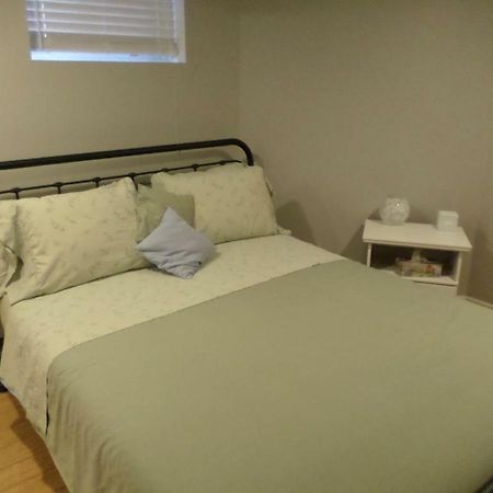 Fantastic And Modern Downtown 1-Bed Basement Apt., Parking Wi-Fi And Netflix Included Ottawa Bagian luar foto