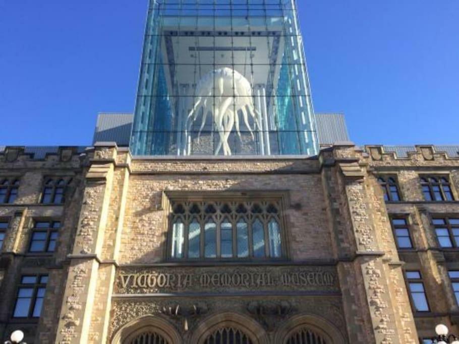 Fantastic And Modern Downtown 1-Bed Basement Apt., Parking Wi-Fi And Netflix Included Ottawa Bagian luar foto